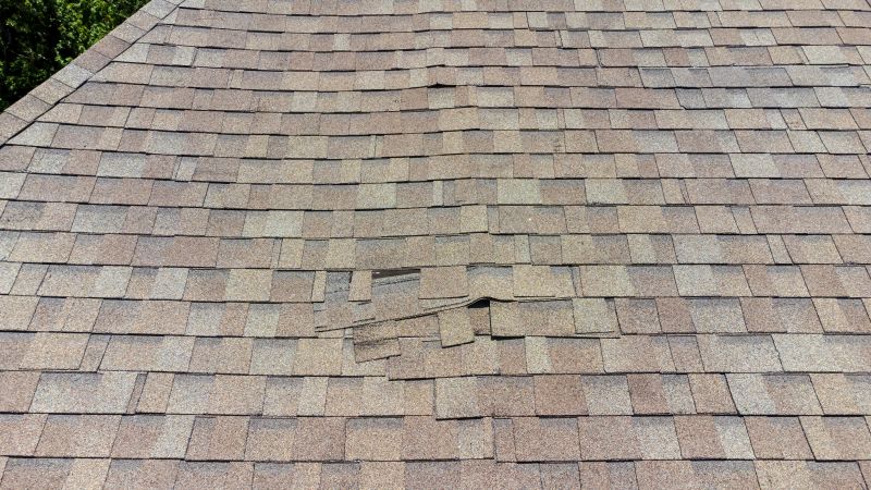 Asphalt Roof Inspection in Dorchester County, MD