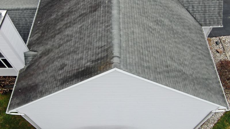 Asphalt Roof Inspection in Vienna, MD