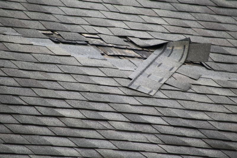 Asphalt Roof Repair in Leonardtown, MD