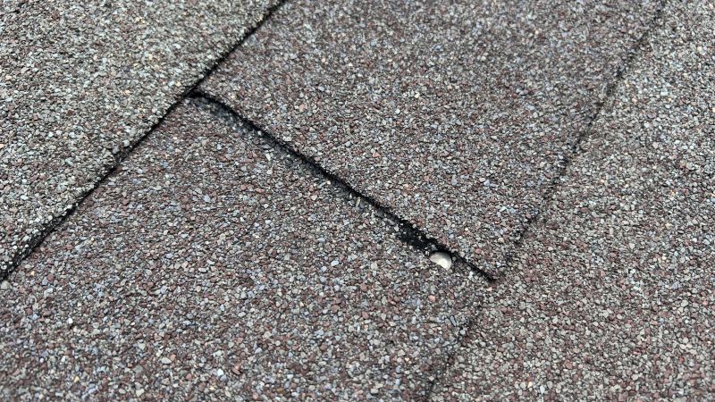Asphalt Roof Repair in Vienna, MD