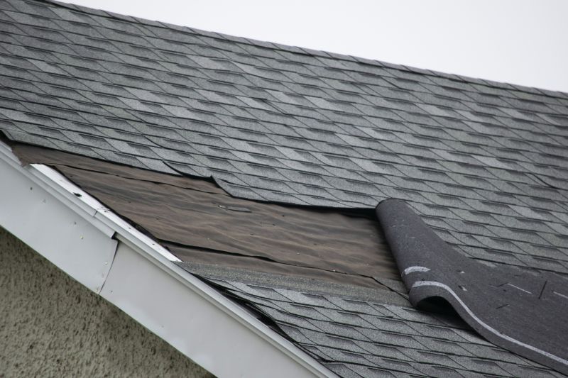Asphalt Shingles Repair in Prince Frederick, MD
