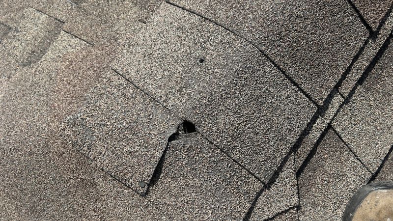 Damaged Roof Repair in Great Mills, MD