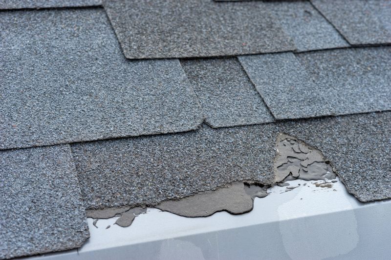 Damaged Roof Repair in Saint Leonard, MD