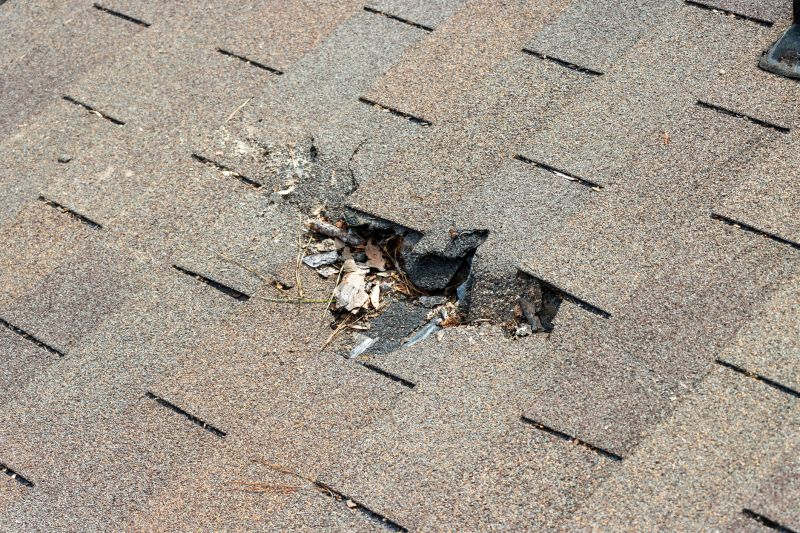 Damaged Roof Replacement in Leonardtown, MD