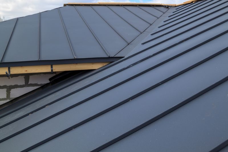 Metal Roof Repair in Vienna, MD