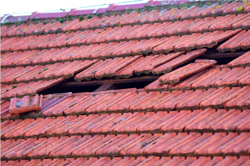 Roof Damage Inspection in Chesapeake Beach, MD