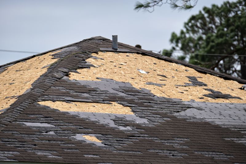 Roof Damage Inspection in Dorchester County, MD