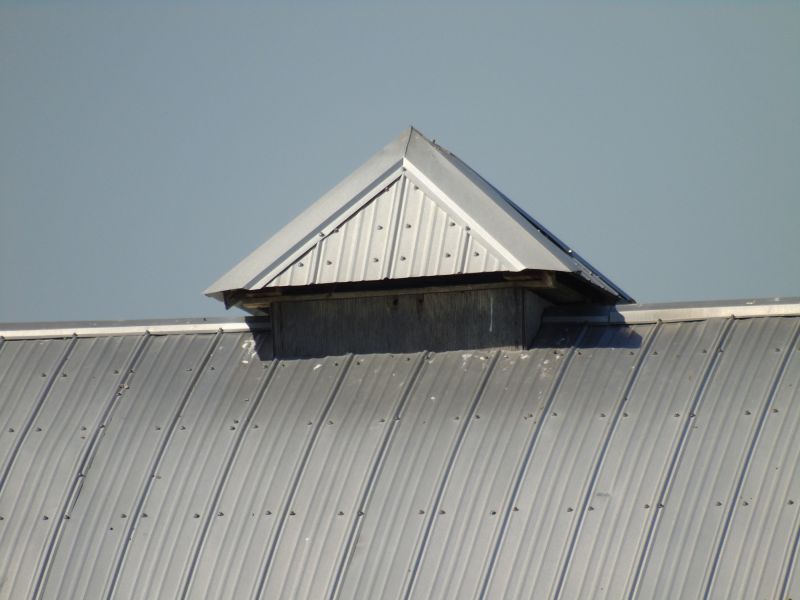 Tin Roof Installation in California, MD